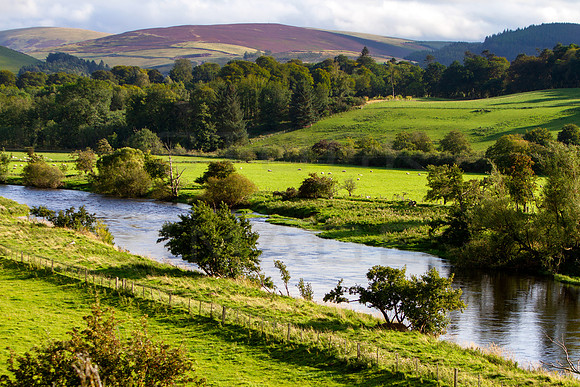Tweed and Southern Uplands_9897