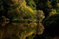 A Peaceful Loch_0192_5D