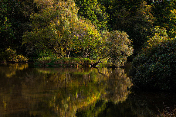 A Peaceful Loch_0192_5D