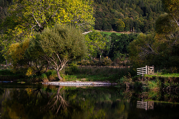 Tweed Reflections at the Quair_0353_5D