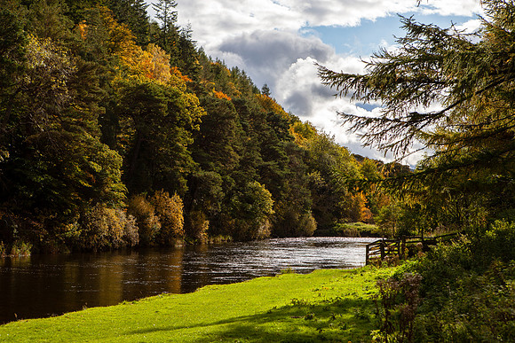 Autumnal Tweed_0486_7D