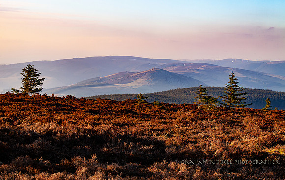 Lee Pen from the Minch_2640_silver-band