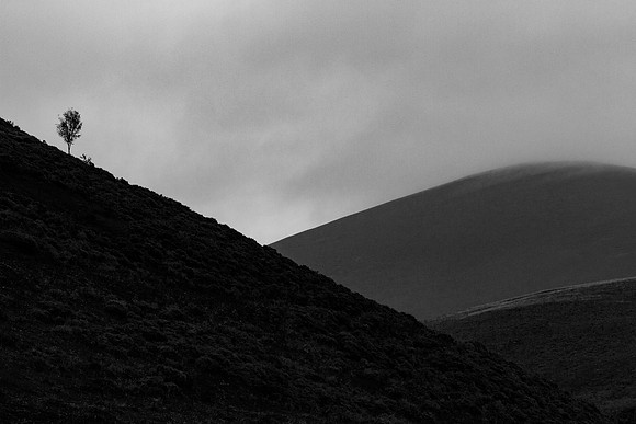 Isolation_0010_7D