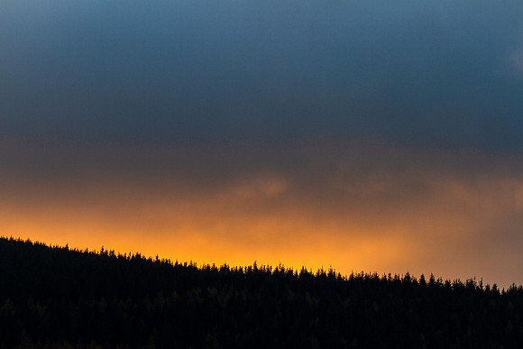 Dawn Light above Trees_0016_7D
