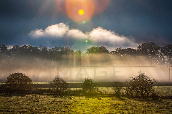 Into the Light_0072_7D-2