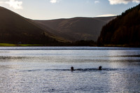 20201119__MG_0013_7D2