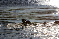 20201119__MG_0027_7D2