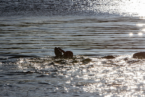 20201119__MG_0027_7D2