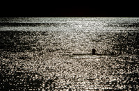 20201119__MG_0031_7D2