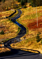 The Long and Winding Road to Fruid_0055_7D2