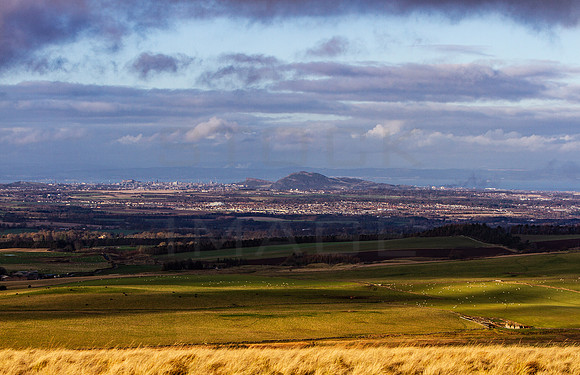 Edinburgh from Moorfoot_0061_7D