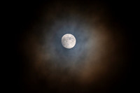 Moon Halo_1887