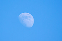Waxing Gibbous Moon_1862