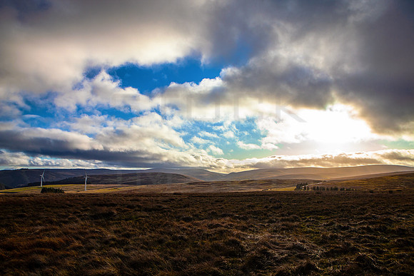 Carcant Wind Farm_0031_5D