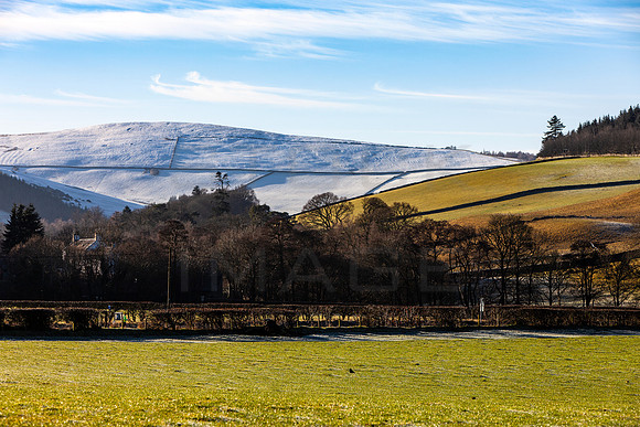 Fetham Hill from Traquair_2097_local