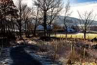 Traquair Cottages through Trees_2098_local