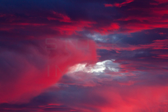 Paint it Red_0026-7D