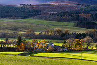 Traquair & Beyond_20191114_0050_7D