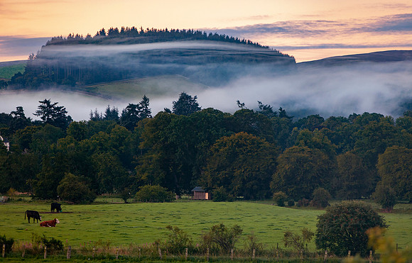 The Rising Mist_9860