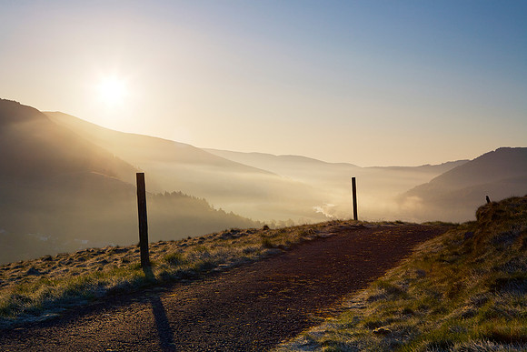 Tweed Valley Sunrise_9466