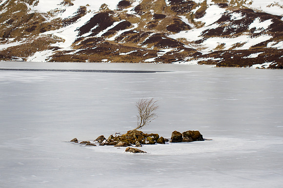 I Stand Alone_0426