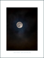 Wolf Moon_2021-01-29_2179_local