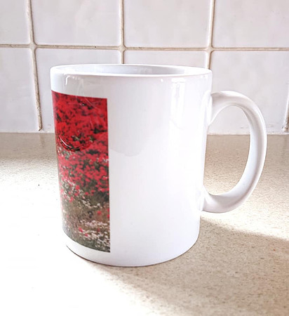 Poppy Mug-side