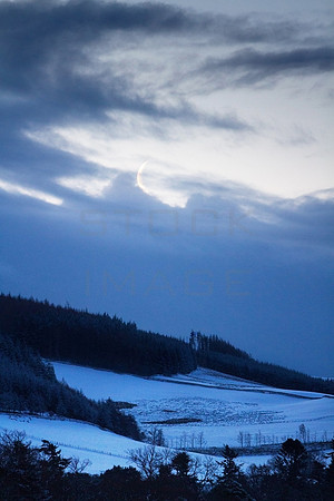 Towards the New Moon_2412_local