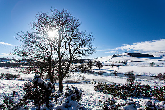 Winter Sun by Tweed_2293_local
