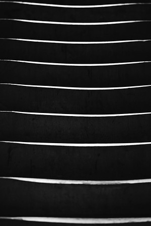 Light Steps_0210