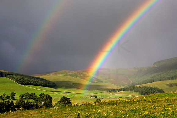 TWEED VALLEY