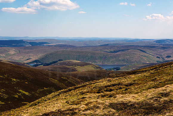 Towards Megget Reservoir_2470-5D111