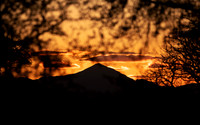 Ben Lomond Sunset through Trees_8492-90D