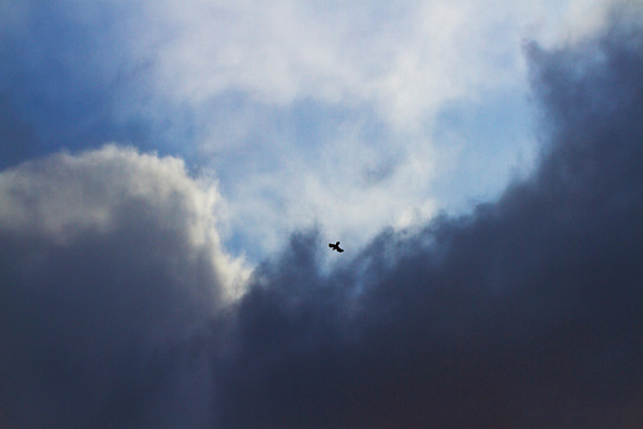 Flight of the Fallen_8957-7D-local