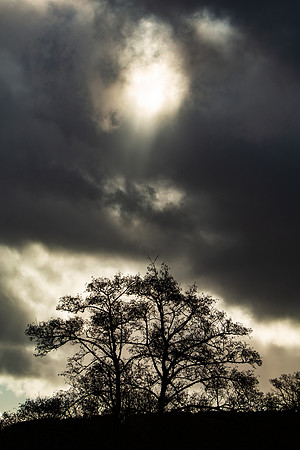 A Heavenly Intervention_1490-5D111
