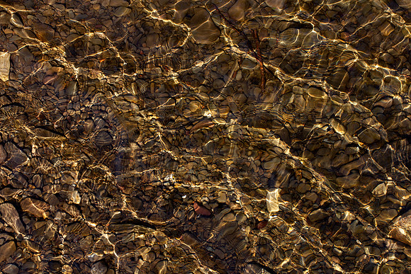 The Ripple Effect_8881-7D-local