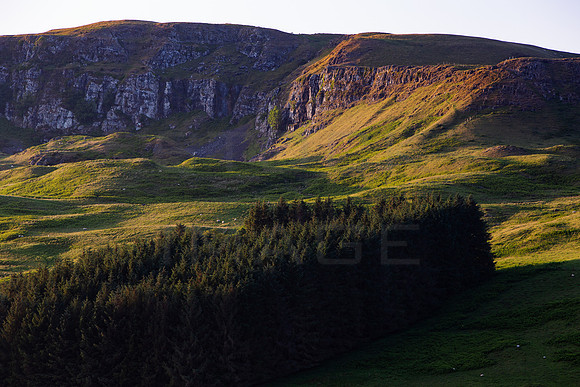 Fintry Hills_2705-5DM111