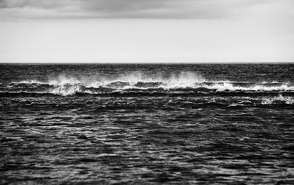 Let it Rip_5321