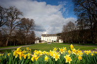 Traquair House & Daffodils-20220415_9735