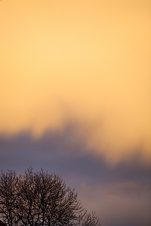 Amber Glow_7995-5D-local