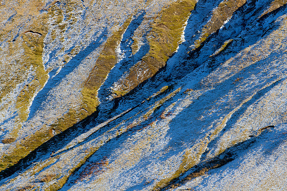 Snow Relief_9350