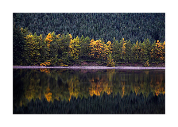 Autumn Reflections