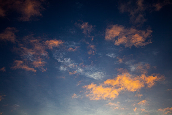 Reds and Blues_7807-5D_local