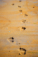 Footprints in the Sand