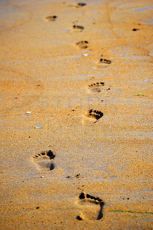 Footprints in the Sand