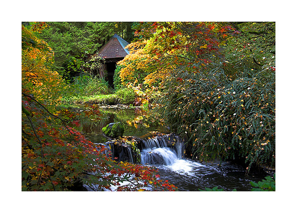 The Secret Garden_A3_print