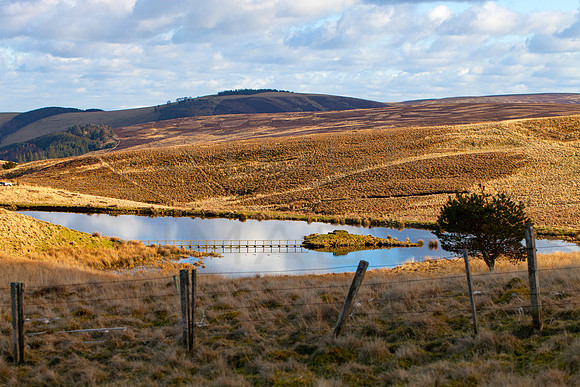 Moorfoot Lochan_8118-5D