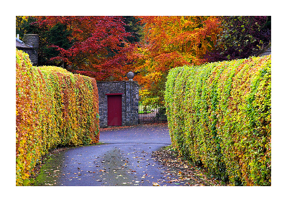 The Red Door