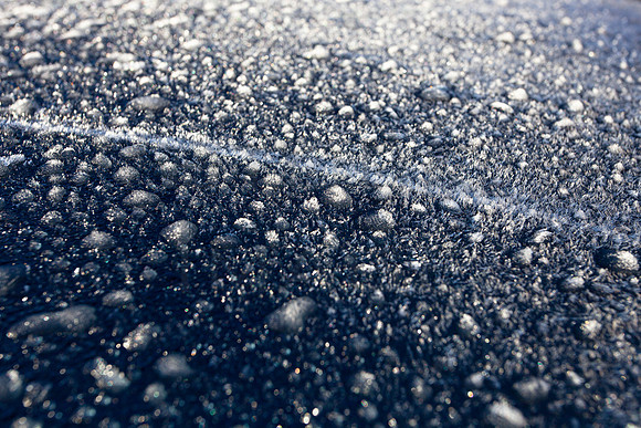 Blue Frost_8153-5D-local