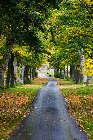 Hopes of Autumn
